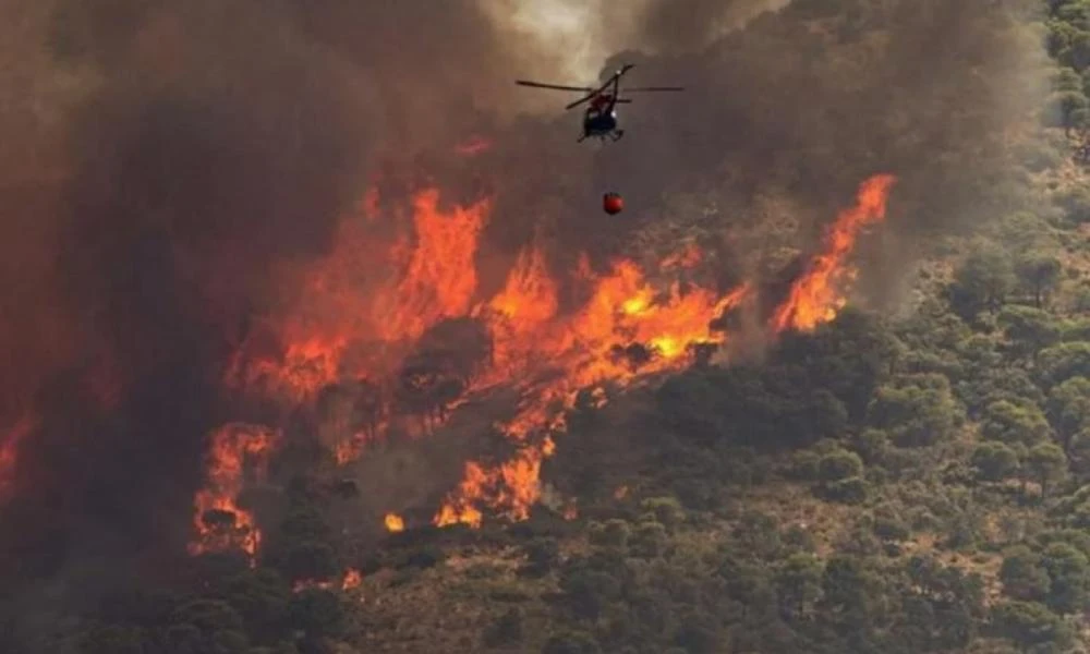 Πυροσβεστική: Στις 38 οι δασικές πυρκαγιές το τελευταίο 24ωρο - "Μάχη" για τις φωτιές σε Βόνιτσα, Πρέβεζα και Πάρο